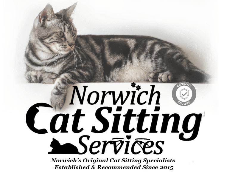 Norwich Cat Sitting Services Logo Norwich Cat Sitter Norwich